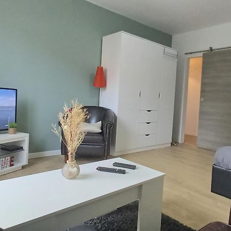 New Appartement Proche Gare Et Centre-Ville Colmar Buitenkant foto