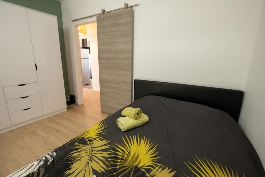 New Appartement Proche Gare Et Centre-Ville Colmar Buitenkant foto